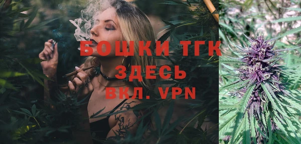 гашик Белоозёрский