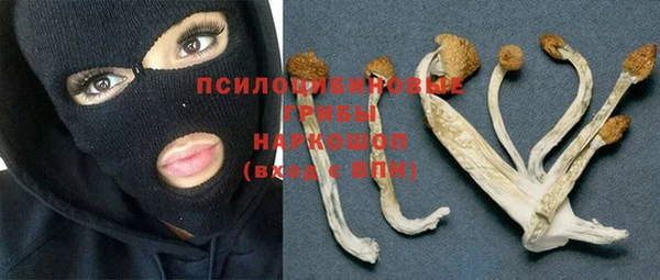 гашик Белоозёрский