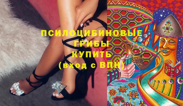 СК Белокуриха
