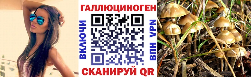 хочу Чайковский Псилоцибиновые грибы GOLDEN TEACHER