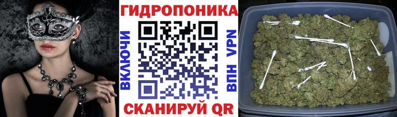 Бошки Шишки Bruce Banner  где купить наркоту  Чайковский 